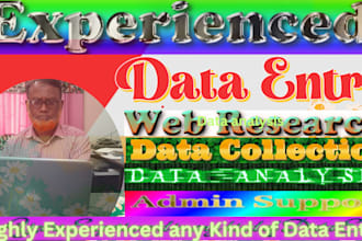 professional data entry service