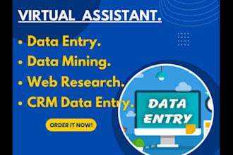 do excel data entry copy paste and web research