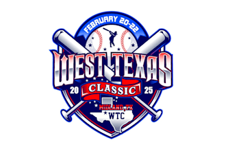 create attractive and imagination softball logo design