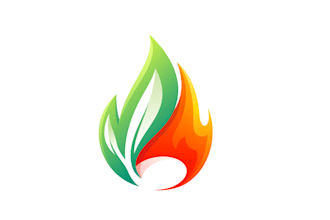 design fire seed media a video game studio logo
