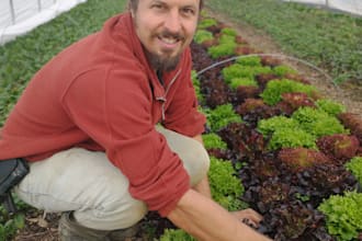help you design and plan your vegetable garden