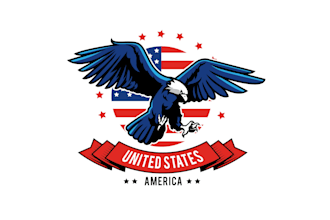 create wonderful and excellent eagle logo design