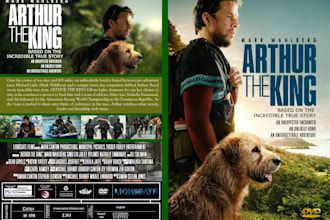 design professional dvd covers for movies and TV shows