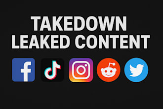 takedown erase mass report on facebook tiktok insta reddit under dmca