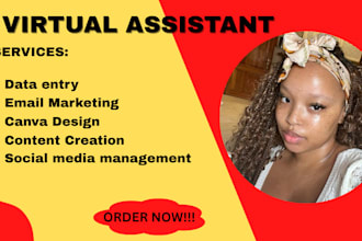 assist in data entry personal virtual executive assistant ghl social media admin