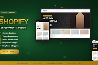 be your shopify expert developer in custom development
