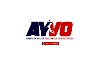 design american youth volleyball organization logo
