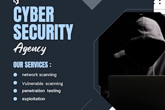 perform website or server security and penetration  testing