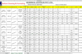 excel data cleaning and formatting