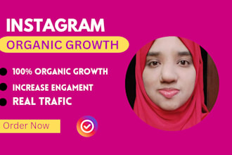 do instagram organic promotion and fast growth