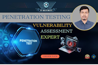 do vulnerability test and standards based report