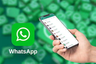 increase your whatsapp followers organically