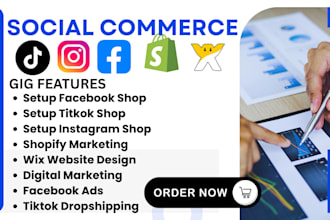 setup facebook tiktok instagram shop social commerce media manager shopify store
