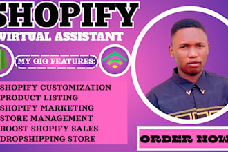 boost shopify sales with expert virtual assistant, marketing  and dropshipping