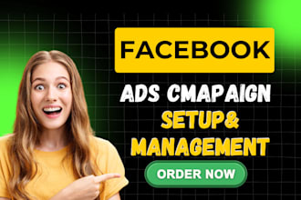 create and manage high ROI facebook ads campaigns
