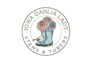 create hand drawn botanical floral logo design
