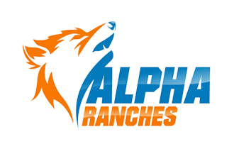 design modern wolf head logo