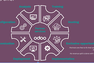 build you a odoo erp integrated business application business solution