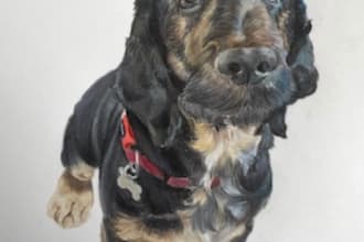 create a portrait of your pet