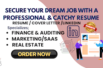 write a professional finance and auditing or executive resume and cover letter