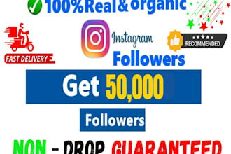 buy 10k instagram followers fast