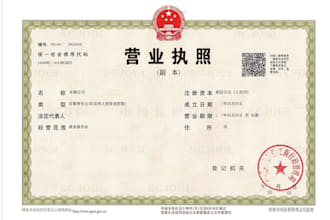 provide for establishing a company in china