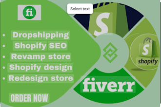 revamp, edit and customize shopify store redesign