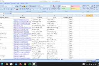 do online and offline data entry, typing, PDF to excel or word