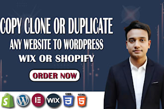 redesign, duplicate, revamp, clone website in wordpress, wix, or shopify