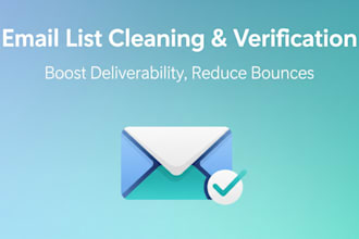 professionally clean and verify your email list