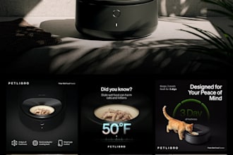 graphic design  logo design