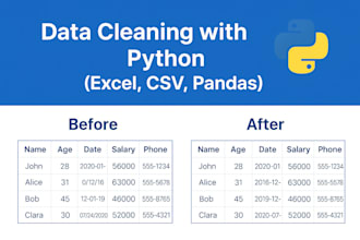 clean visualize and analyze your data using python pandas and excel