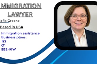 formulate a detailed immigration plan for your application