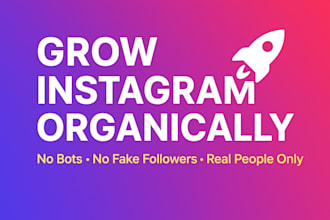 grow your instagram organically with strategy, SEO and engagement, no bot