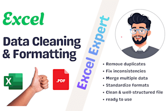 clean large excel datasets for accurate reports, records and analysis