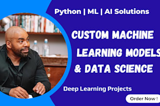 provide ai, data analysis, and custom machine learning models