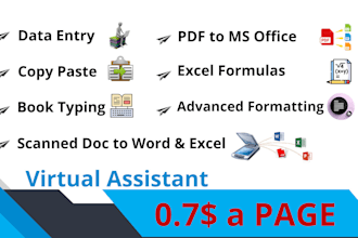 do excel data entry, copy paste, book typing in typing expert, PPT