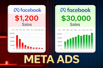 setup and manage meta ads for you