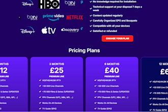build a custom functional iptv website for your business with wordpress