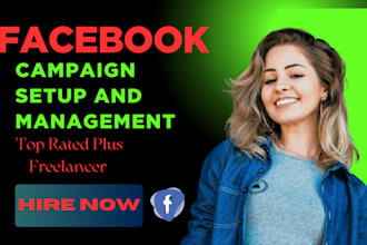 setup and manage facebook ads and meta ads campaign