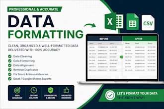 do data formatting, data cleaning, and excel