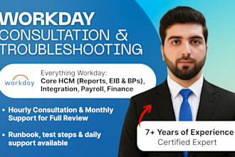 provide workday consultation and troubleshooting as certified expert