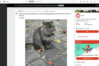 reddit bot, account warm bot, build karma, commenting, python automation script