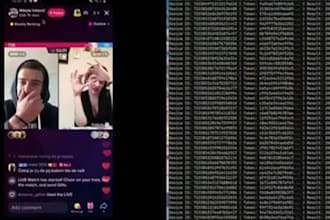 live streaming bot, tiktok report bot, commenting bot, viewer, auto follow bot
