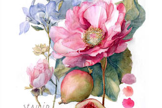 paint watercolor botanical illustration of flowers, plants, fruits