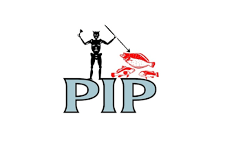 design boat serious fisherman logo