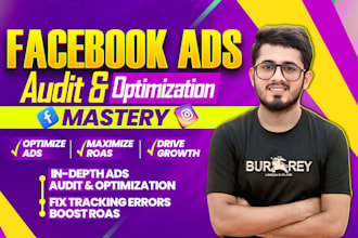 audit and optimize your facebook ads, instagram ads, for leads and sales