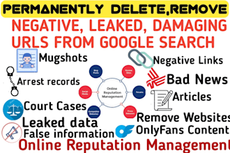 erase damaging search results online, leaks,bad publicity, mugshots, court cases