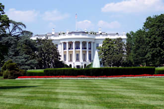 write on government, law,essay, comparative politics, ir and political science