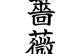 custom japanese calligraphy and kanji art